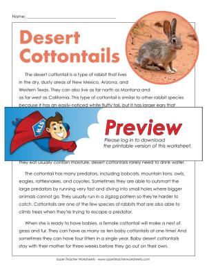 Desert Cottontails