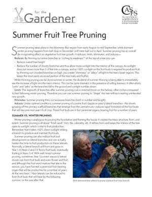 Summer Fruit Tree Pruning