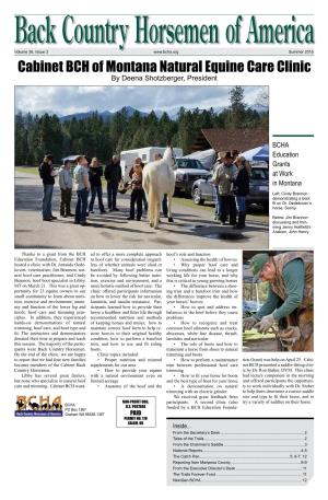 Cabinet BCH of Montana Natural Equine Care Clinic by Deena Shotzberger, President