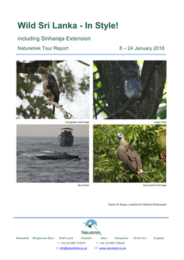 Wild Sri Lanka - in Style! Including Sinharaja Extension Naturetrek Tour Report 8 – 24 January 2018