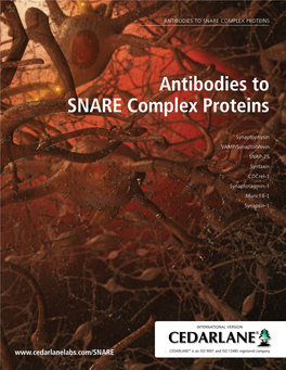 Antibodies to Snare Complex Proteins