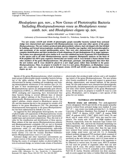 Rhodoplanes Gen. Nov., a New Genus of Phototrophic Including