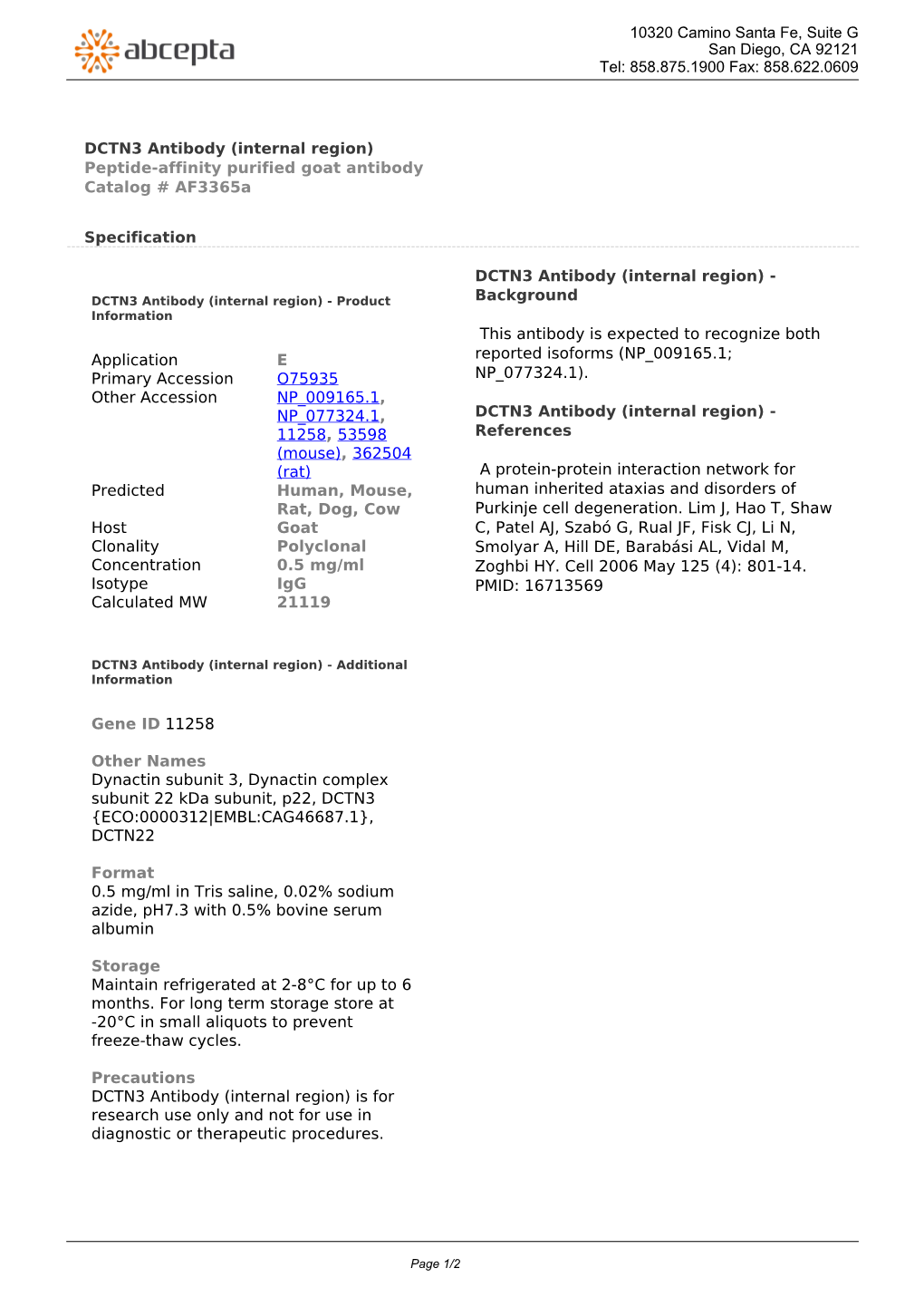 DCTN3 Antibody (Internal Region) Peptide-Affinity Purified Goat Antibody Catalog # Af3365a