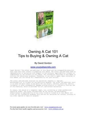 Owning a Cat 101 Tips to Buying & Owning A