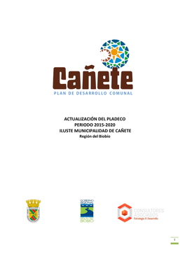 Pladecocanete20152020.Pdf