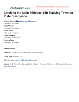 Catching the Main Ethiopian Rift Evolving Towards Plate Divergence