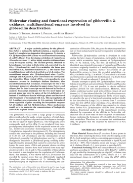 Molecular Cloning and Functional Expression of Gibberellin 2- Oxidases, Multifunctional Enzymes Involved in Gibberellin Deactivation