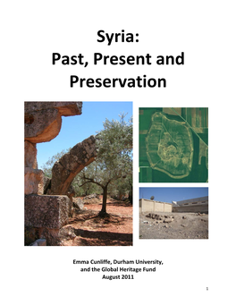 Syria: Past, Present and Preservation