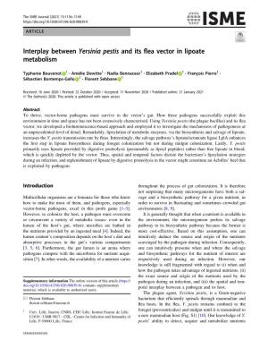 Interplay Between Yersinia Pestis and Its Flea Vector in Lipoate Metabolism