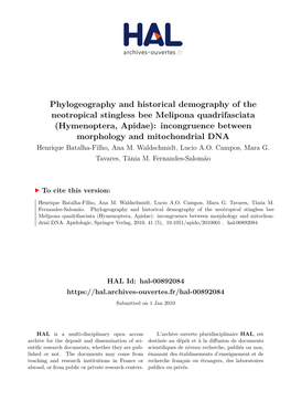 Hymenoptera, Apidae): Incongruence Between Morphology and Mitochondrial DNA Henrique Batalha-Filho, Ana M