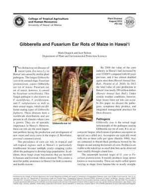 Gibberella and Fusarium Ear Rots of Maize in Hawai'i