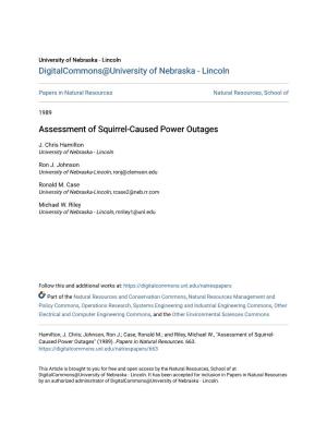 Assessment of Squirrel-Caused Power Outages