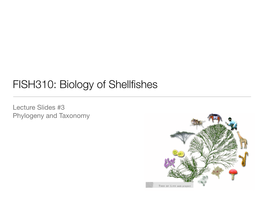 FISH310: Biology of Shellfishes