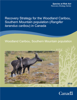 Strategy for the Woodland Caribou, Southern Mountain Population (Rangifer Tarandus Caribou) in Canada