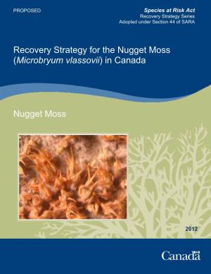 Nugget Moss (Microbryum Vlassovii) in Canada