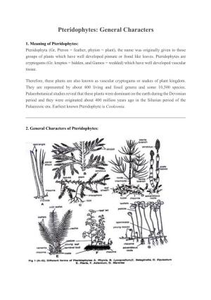 General Characters of Pteridophytes.Pdf