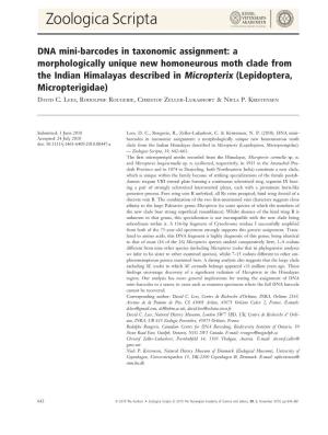 DNA Minibarcodes in Taxonomic Assignment: a Morphologically