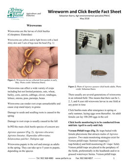 Wireworm and Click Beetle Fact Sheet Sebastian Ibarra, Agri-Environmental Specialist/PMUC May 2018