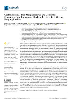 Gastrointestinal Tract Morphometrics and Content of Commercial and Indigenous Chicken Breeds with Differing Ranging Proﬁles