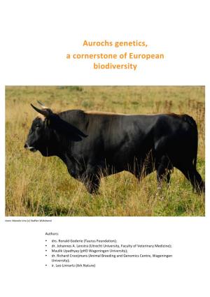 Aurochs Genetics, a Cornerstone of European Biodiversity