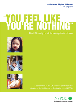 You Feel Like You're Nothing: the UN Study on Violence Against Children