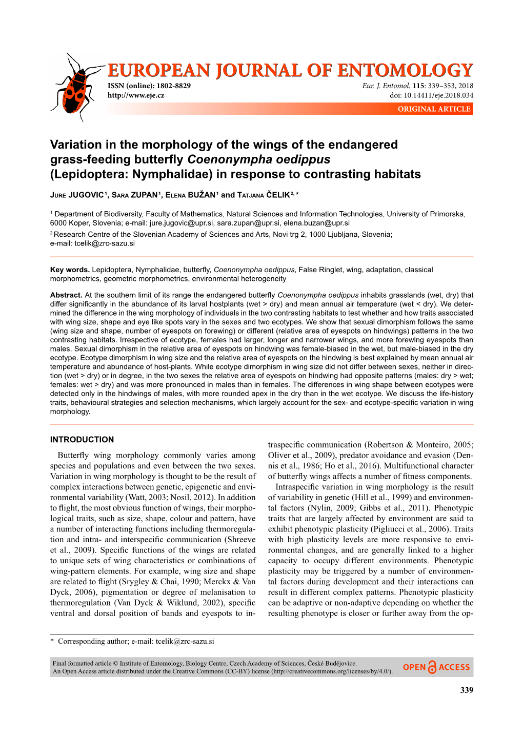 Variation in the Morphology of the Wings of the Endangered Grass-Feeding Butterﬂ Y Coenonympha Oedippus (Lepidoptera: Nymphalidae) in Response to Contrasting Habitats