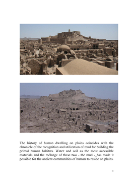 The History of Human Dwelling on Plains Coincides with the Chronicle of the Recognition and Utilization of Mud for Building the Primal Human Habitats