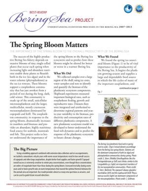 The Spring Bloom Matters