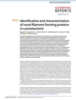Identification and Characterization of Novel Filament-Forming Proteins In