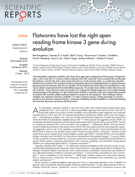 Flatworms Have Lost the Right Open Reading Frame Kinase 3 Gene During Evolution