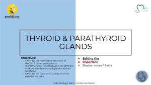 Thyroid & Parathyroid Glands