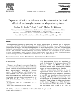 Exposure of Mice to Tobacco Smoke Attenuates the Toxic Effect of Methamphetamine on Dopamine Systems