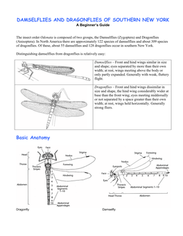 DAMSELFLIES and DRAGONFLIES of SOUTHERN NEW YORK Basic