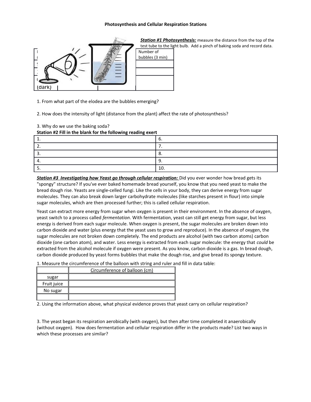 Photosynthesis and Cellular Respiration Stations