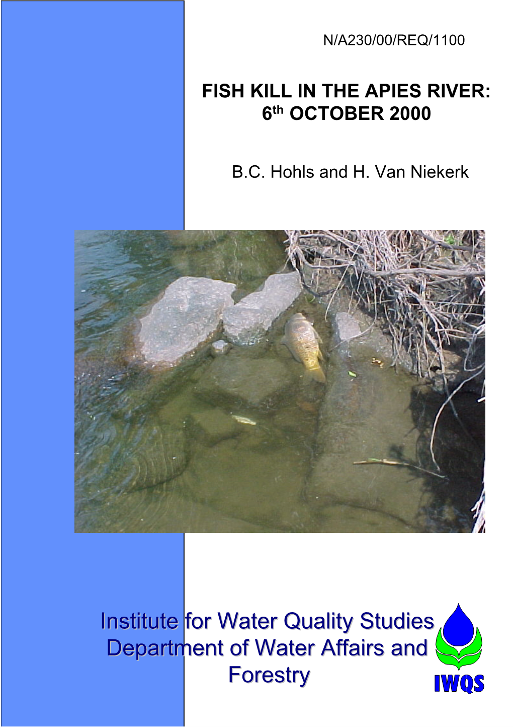 FISH KILL in the APIES RIVER: 6Th OCTOBER 2000