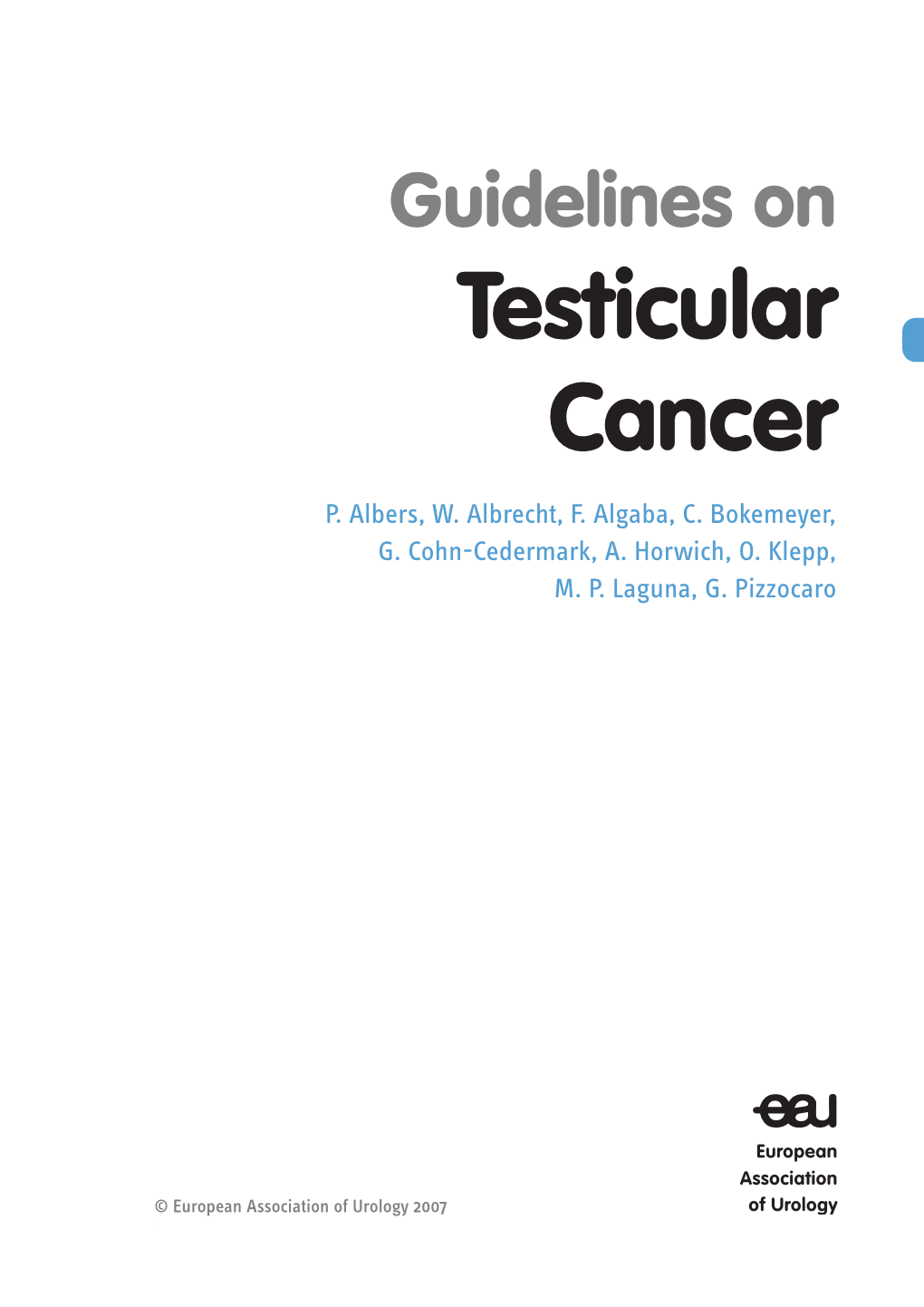 EAU Guidelines on Testicular Cancer 2007