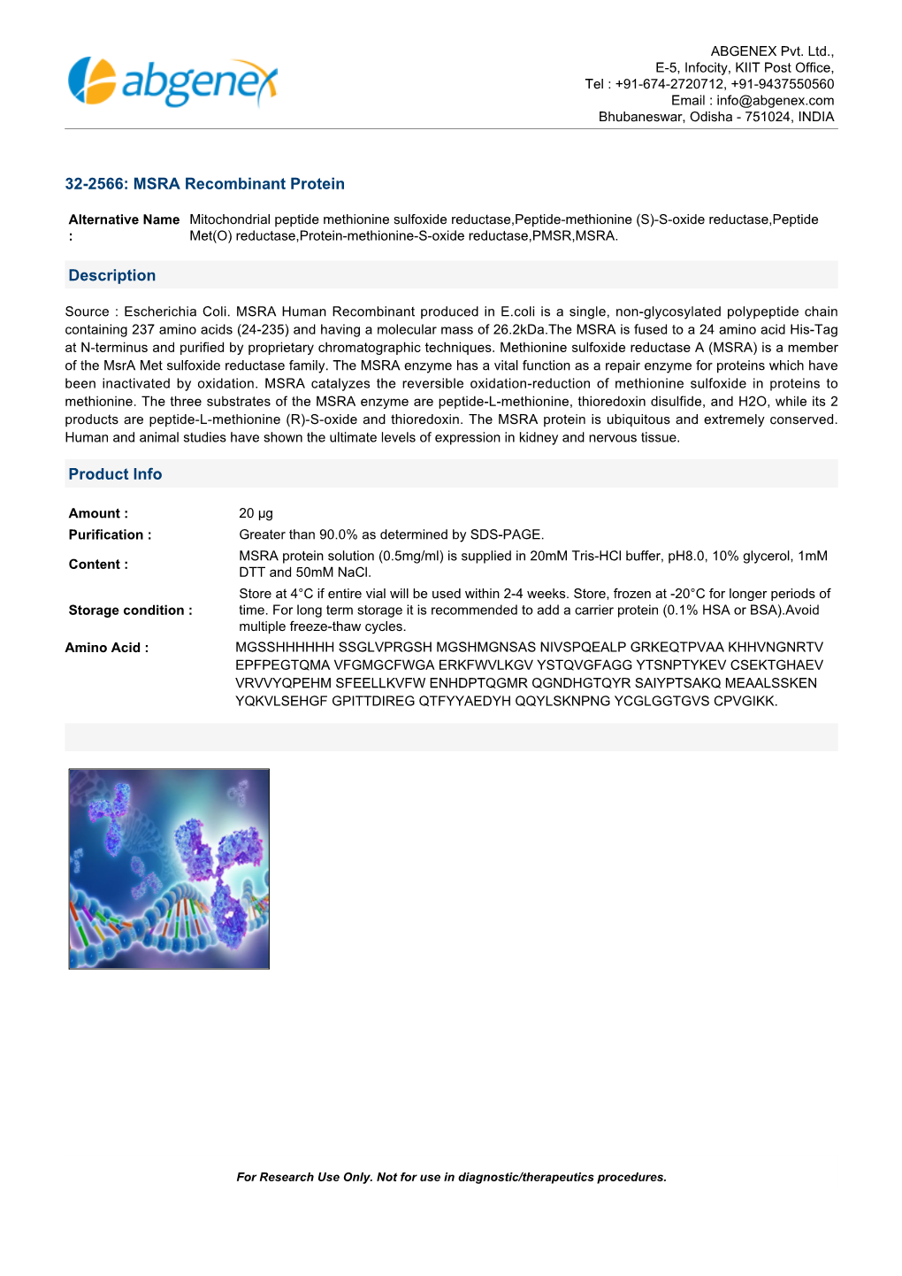 MSRA Recombinant Protein Description Product Info