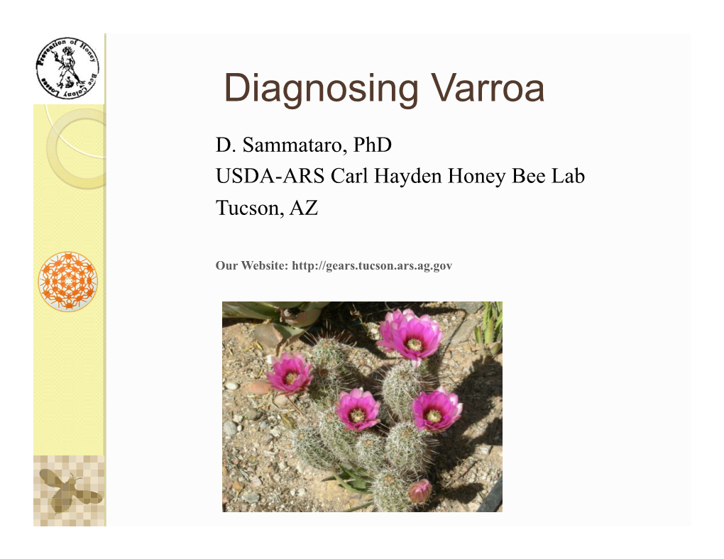 Diagnosing Varroa