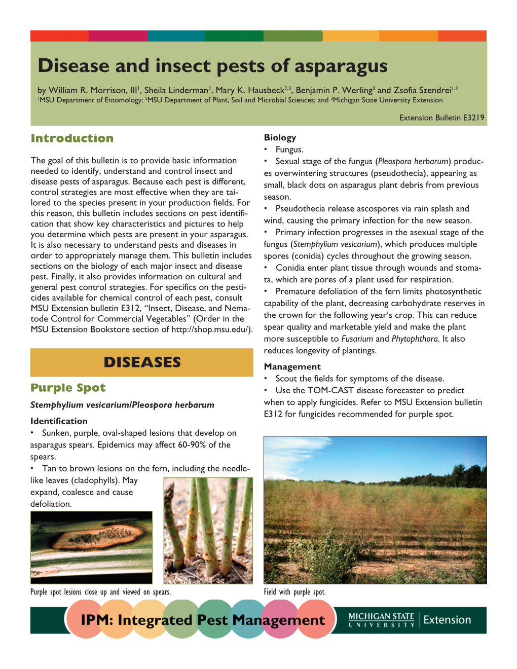 Disease and Insect Pests of Asparagus by William R