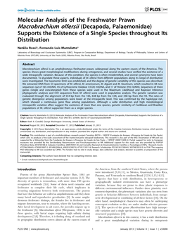 Molecular Analysis of the Freshwater Prawn Macrobrachium Olfersii (Decapoda, Palaemonidae) Supports the Existence of a Single Species Throughout Its Distribution