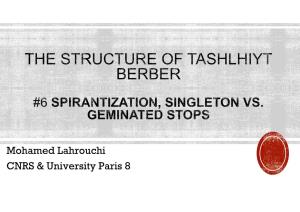 Structure of Tashlhiyt Berber#6.Pdf