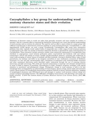 Caryophyllales: a Key Group for Understanding Wood