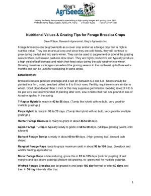 Nutritional Values & Grazing Tips for Forage Brassica Crops