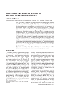 Biological Control of Hakea Sericea Schrad. & Jcwendl. and Hakea