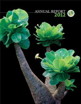 2012 Annual Report