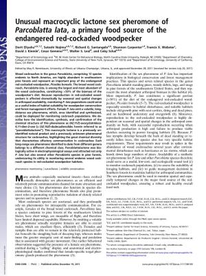 Unusual Macrocyclic Lactone Sex Pheromone of Parcoblatta Lata, a Primary Food Source of the Endangered Red-Cockaded Woodpecker