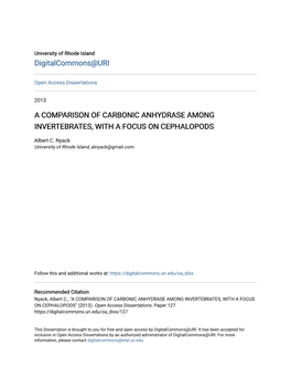A Comparison of Carbonic Anhydrase Among Invertebrates, with a Focus on Cephalopods