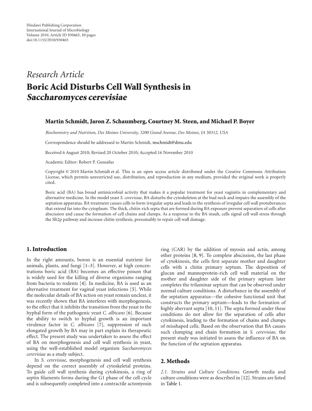 Saccharomyces Cerevisiae