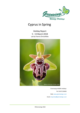 Cyprus in Spring Holiday Report 2018