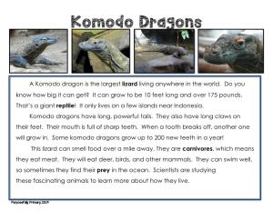 Komodo Dragon (Read-Only)